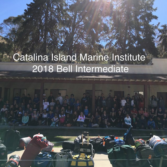 Bell's special field trip Catalina Island teaches students global awareness regarding marine life.